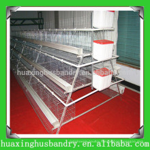 china popular and good quality poultry manure belts